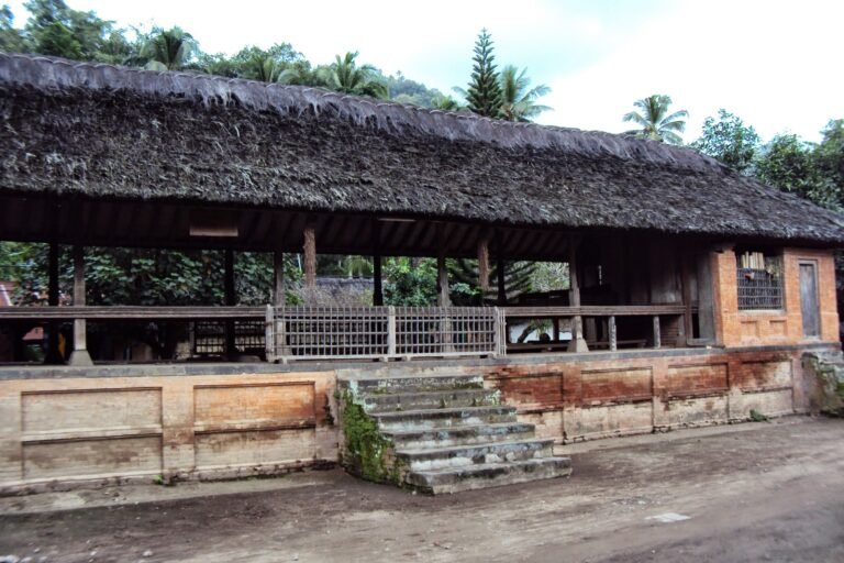 Tenganan Pegringsingan, Bali