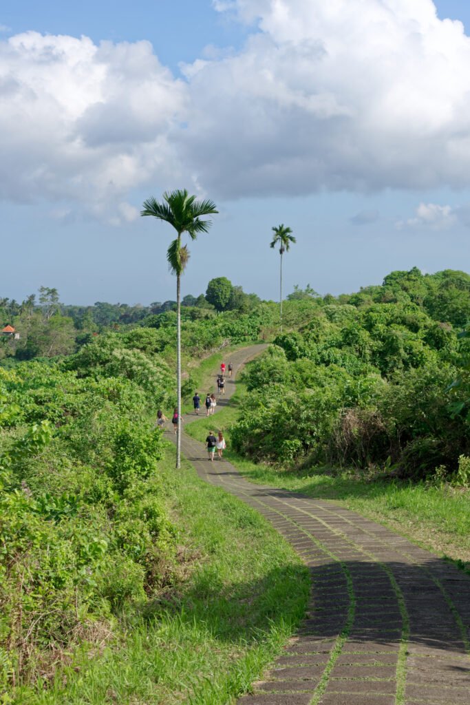 Campuhan Ridge Walk, Bali