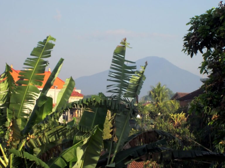 Mount Batukaru, Bali