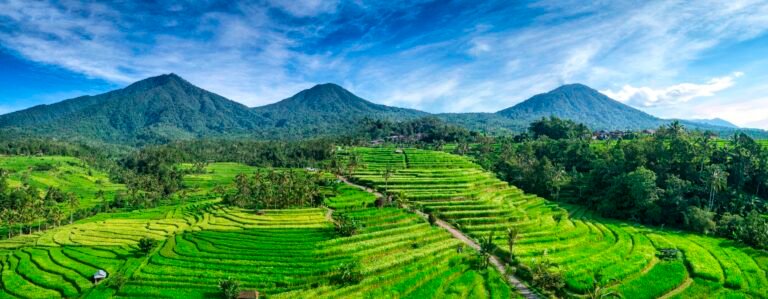 Jatiluwih Rice Terraces, Bali