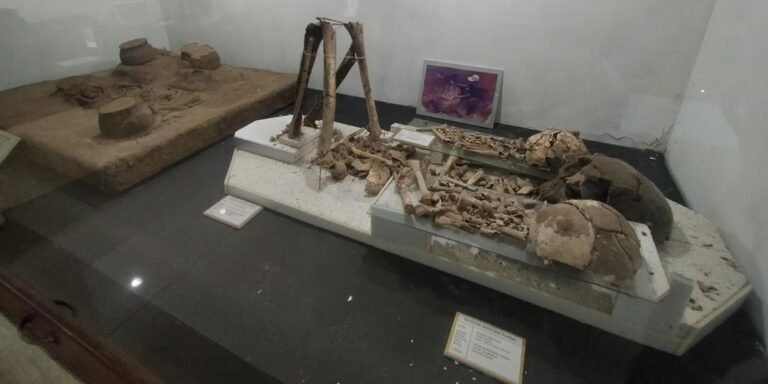 Museum Manusia Purba Gilimanuk, Bali