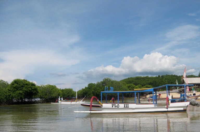 Nusa Lembongan Mangrove Forest, Bali