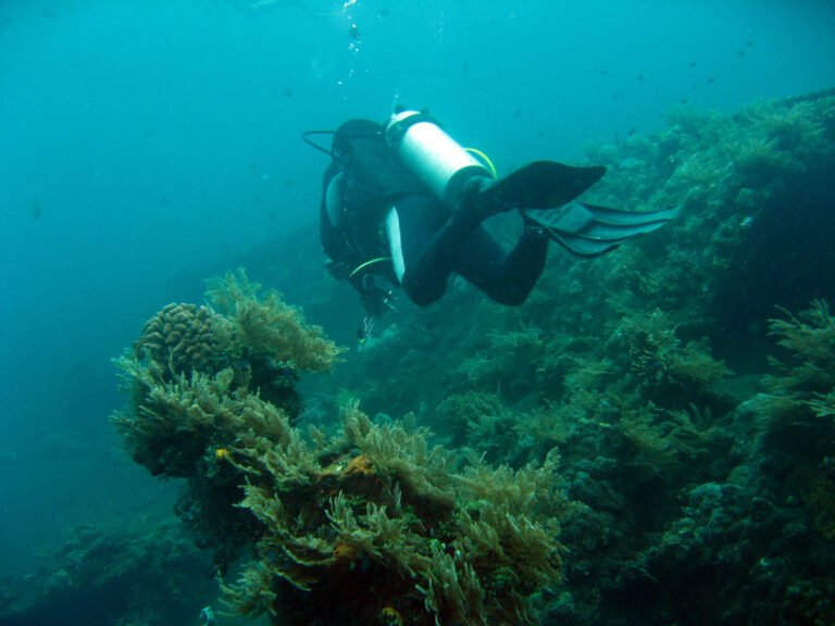 USAT Liberty Shipwreck, Bali