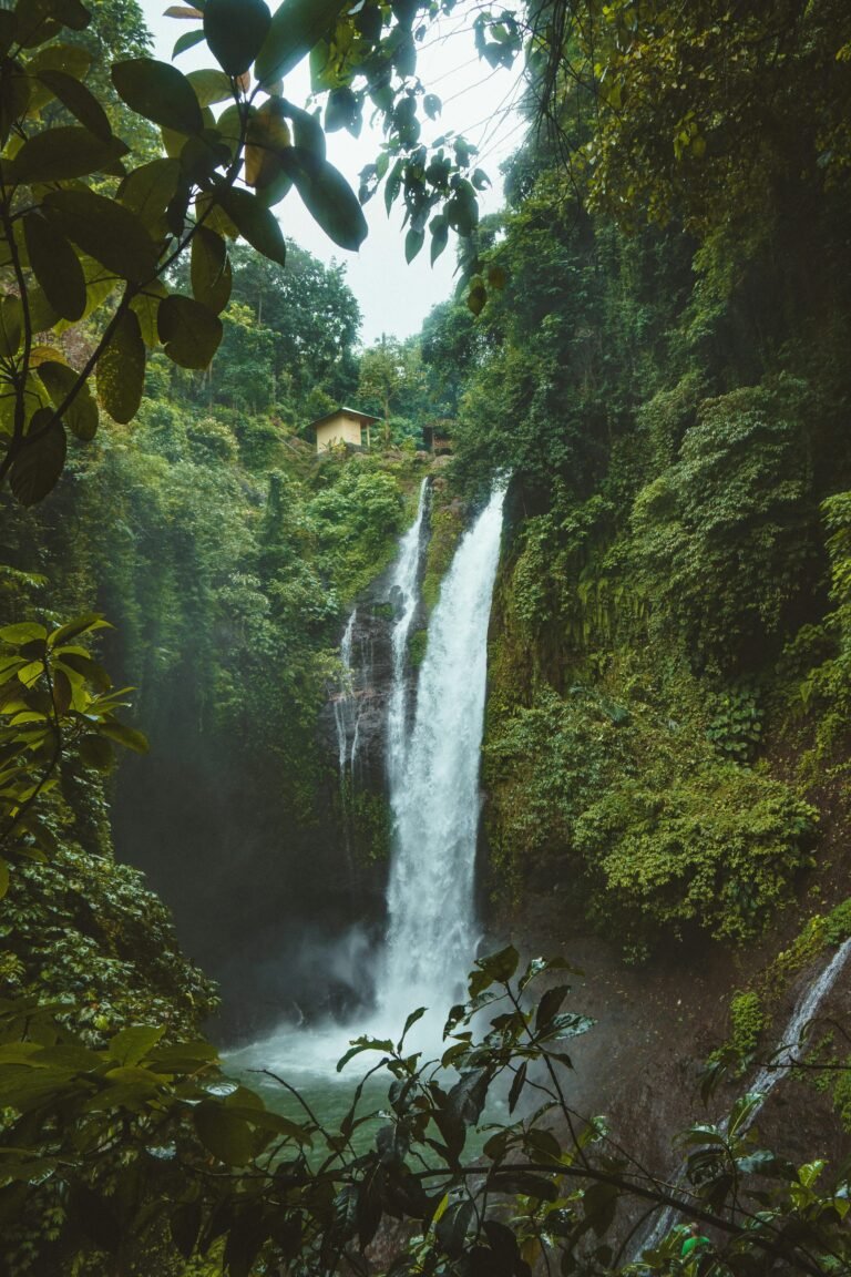 Aling-Aling Waterfall surrounded by forest, Bali