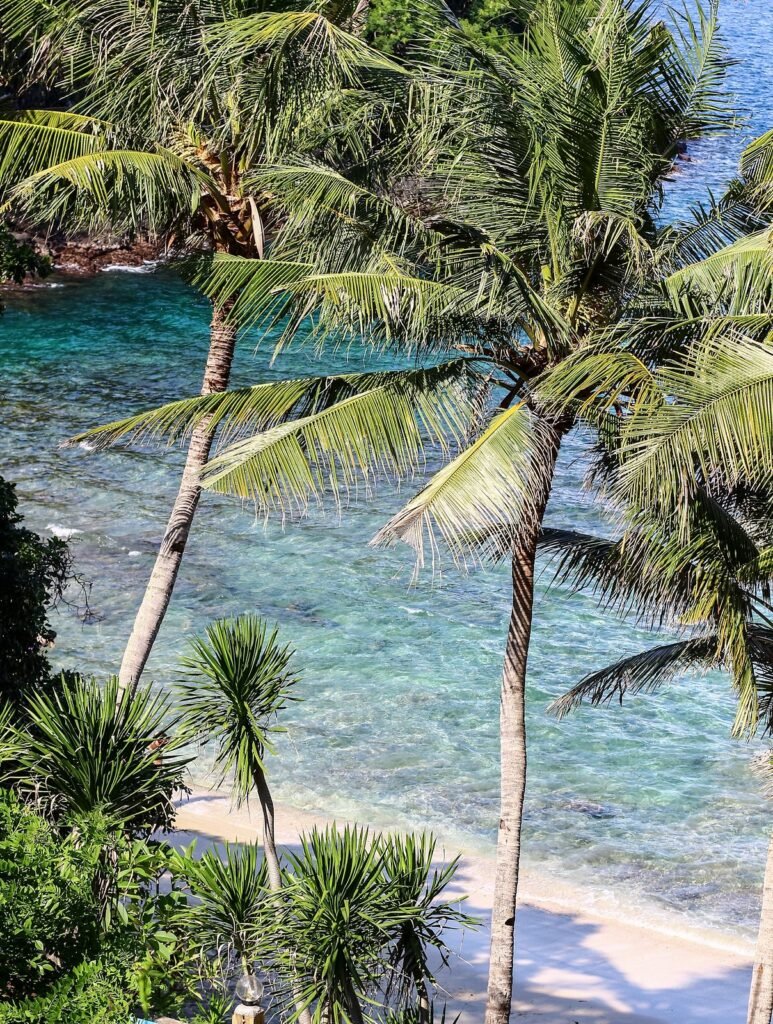 Blue Lagoon Beach at Padangbai, Bali, with palms above the shore.