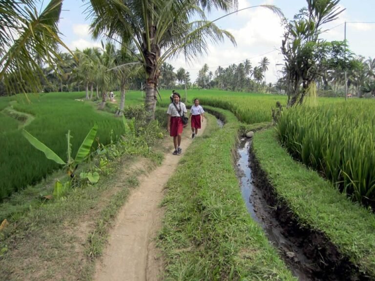 Trail through rice paddies at north end of Jalan Kajeng in Ubud