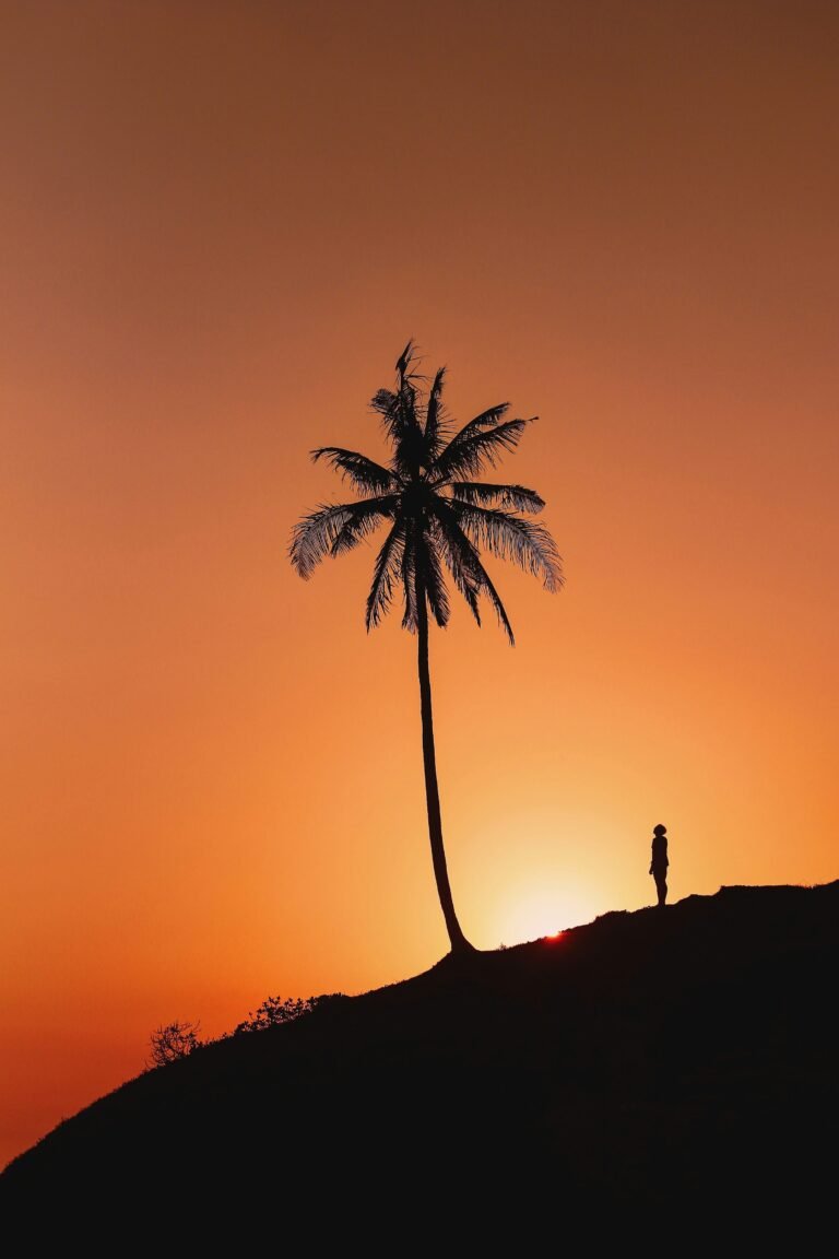 Sunset beneath a palm tree at Pasut Beach, Bali