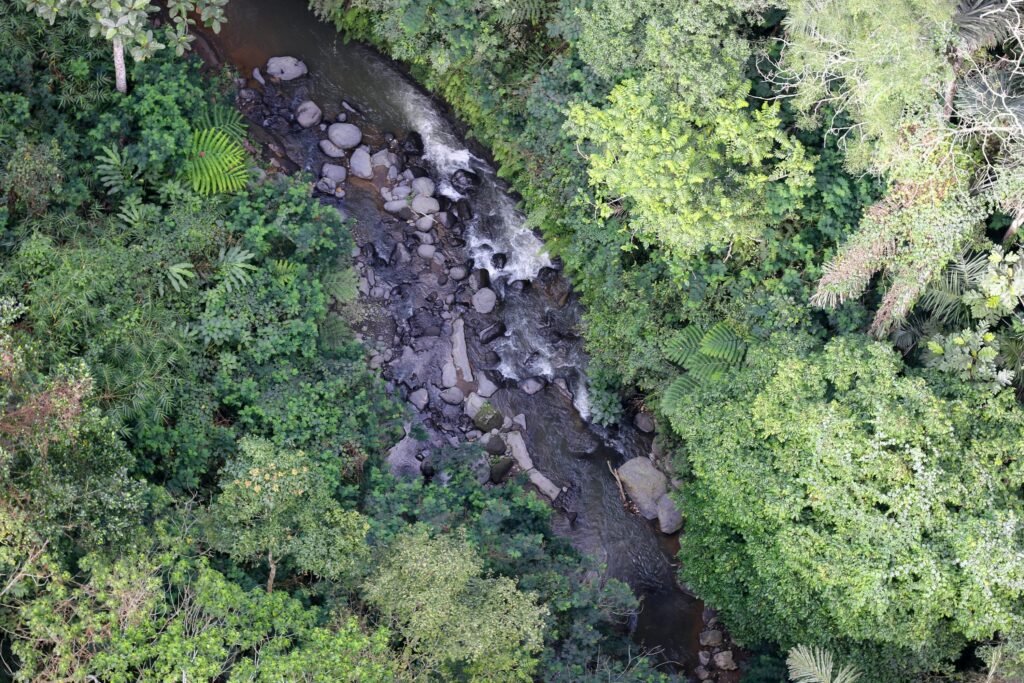 Tukad Bangkung River at Pelaga, Badung, Bali