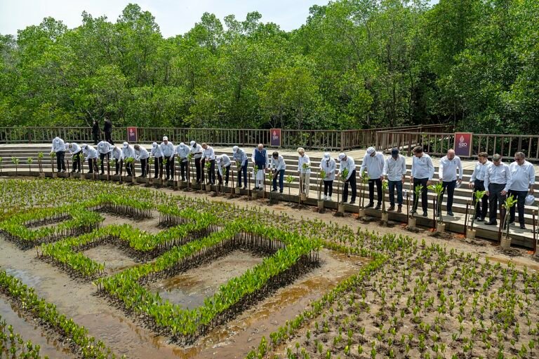 G20 leaders plant mangroves at Tahura Ngurah Rai, Bali, 16 November 2022