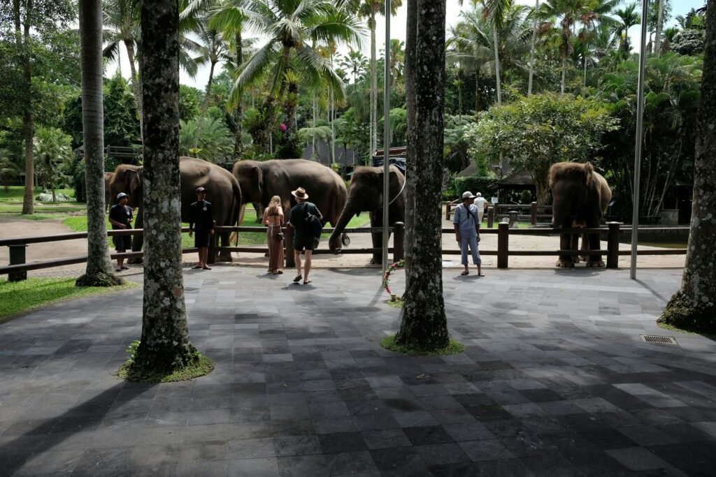 Elephant Safari Park Lodge Bali in Taro Village, Gianyar, Bali.