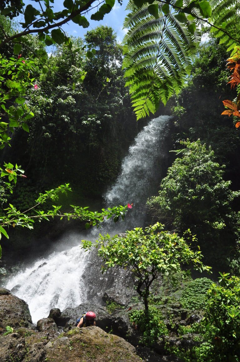 A waterfall beside the Telaga Waja River, Bali, photographed in October 2010.