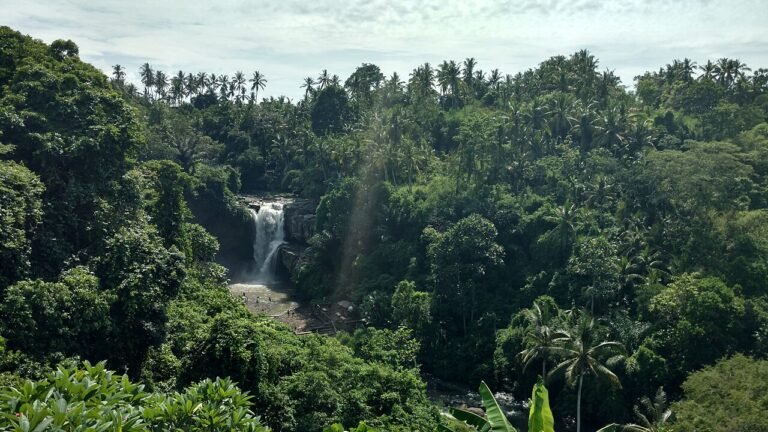 Wide view of the waterfall and green Petanu River valley