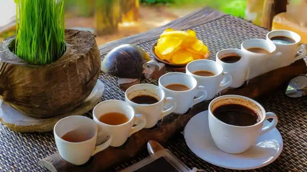 A selection of Balinese coffee brews ready for tasting amidst a plantation setting.