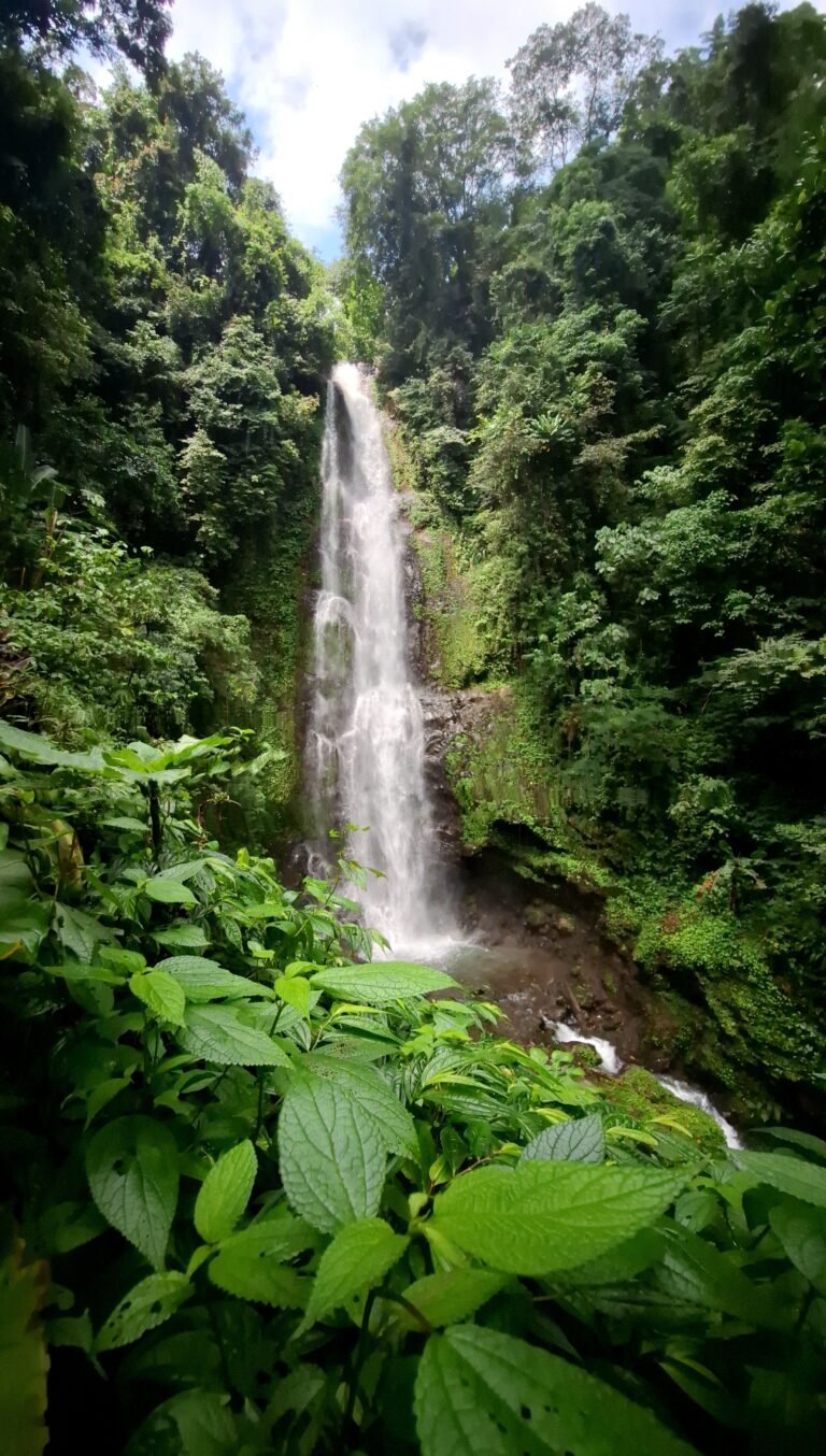 Melanting Waterfall in Bali surrounded by tropical forest