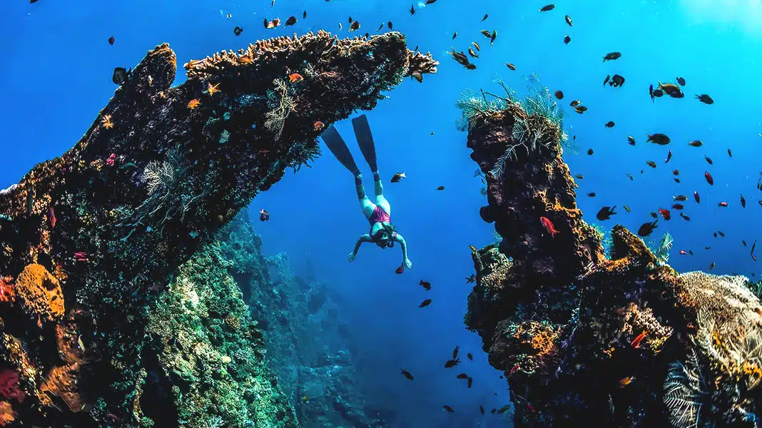 A diver explores the Japanese Shipwreck surrounded by marine life in Amed