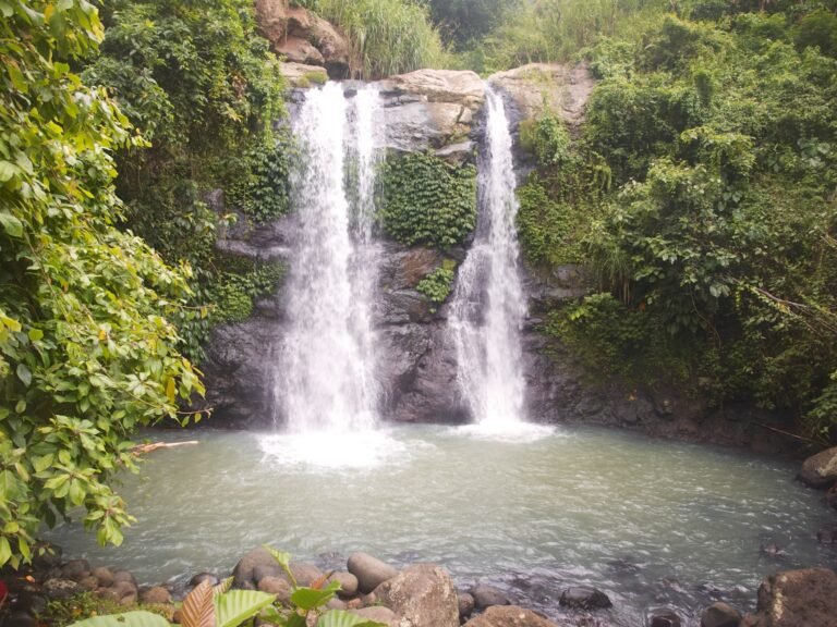 Air Terjun Juwuk Manis di Jembrana, Bali — dua aliran air terjun di tengah pepohonan