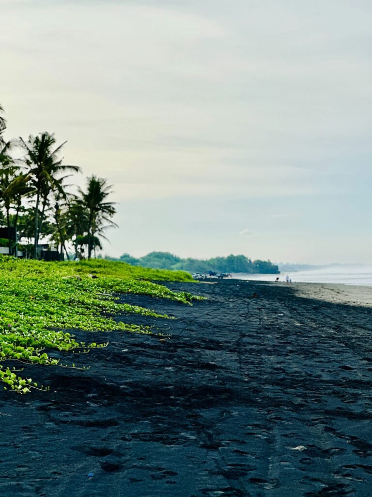 Pasir hitam, tumbuhan pantai, dan ombak di Pantai Kelating / Black sand, coastal vegetation and waves on Kelating Beach