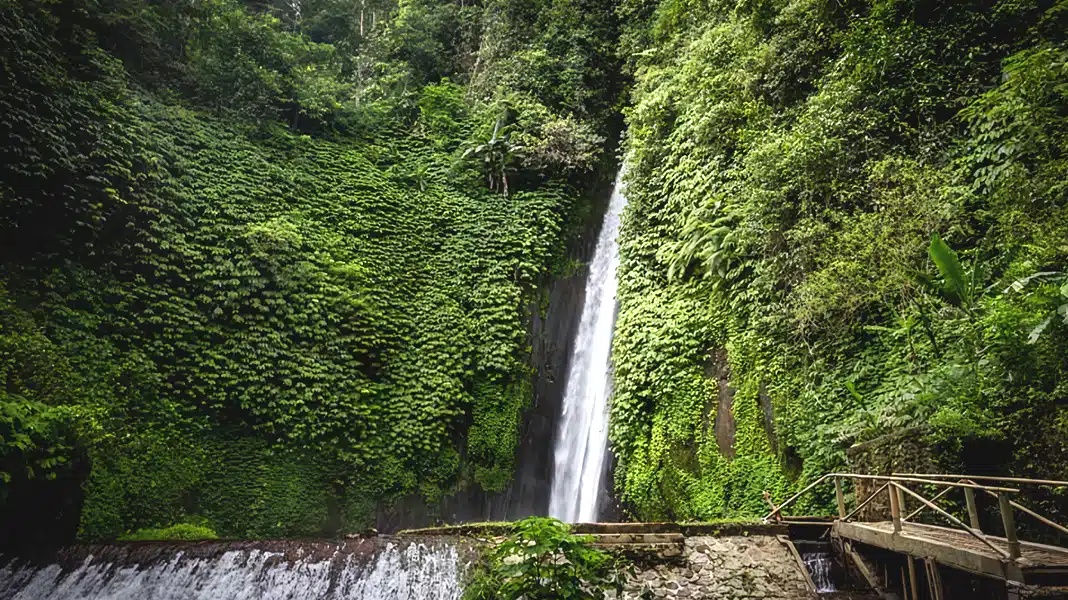 Munduk Waterfall plummets amidst lush greenery in Bali's highlands